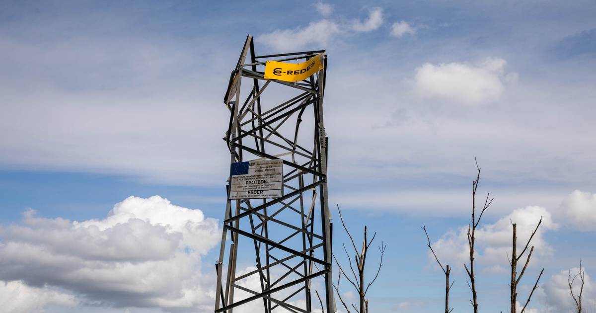 Um morto e um ferido grave durante trabalhos de reparação da rede elétrica em Leiria: E-Redes está a investigar