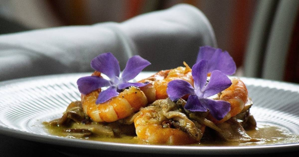 “Gourmet Rural” e tradições locais no Sabugal