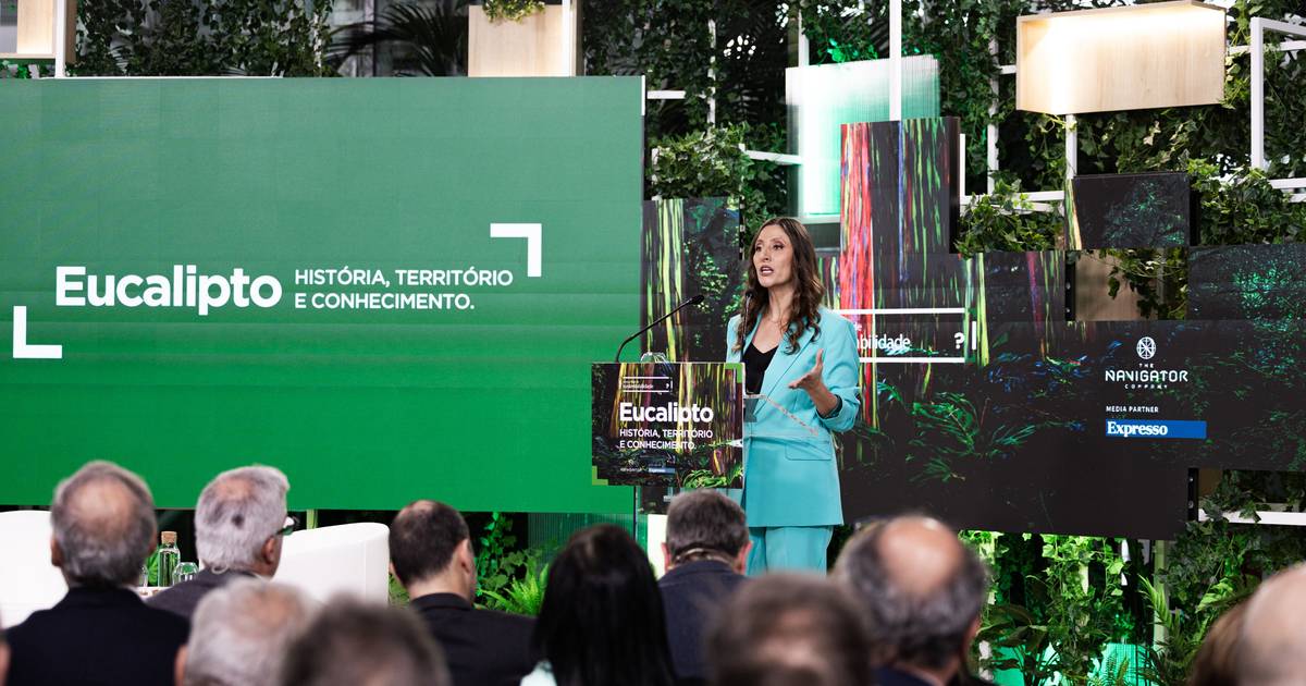 Lançamento do livro Eucalipto: História, Território e Conhecimento