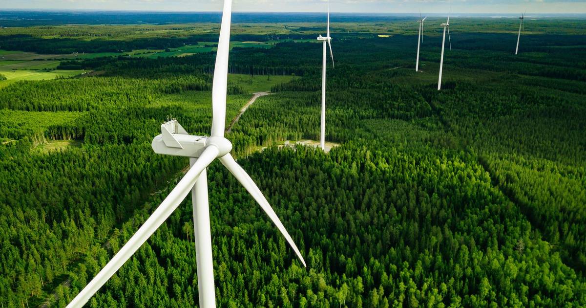 Empresas enfrentam “risco de extinção” e “põem em risco a economia global” se não travarem perda de biodiversidade, alerta novo relatório