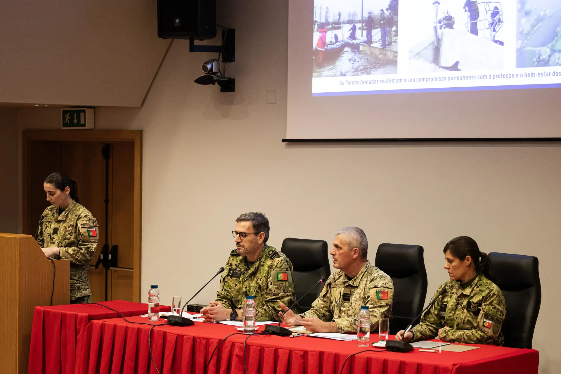 Forças Armadas só aceleraram com pedidos das câmaras afetadas e não da ANEPC