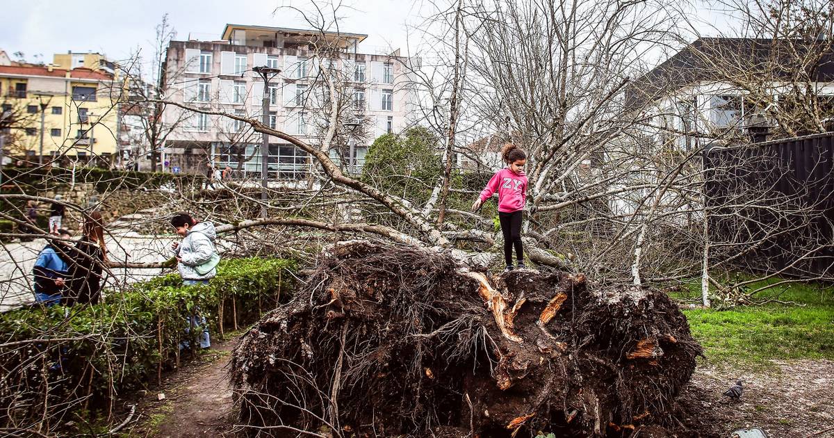 Diários da tempestade: 12 dias de medo, destruição e solidariedade contados na primeira pessoa