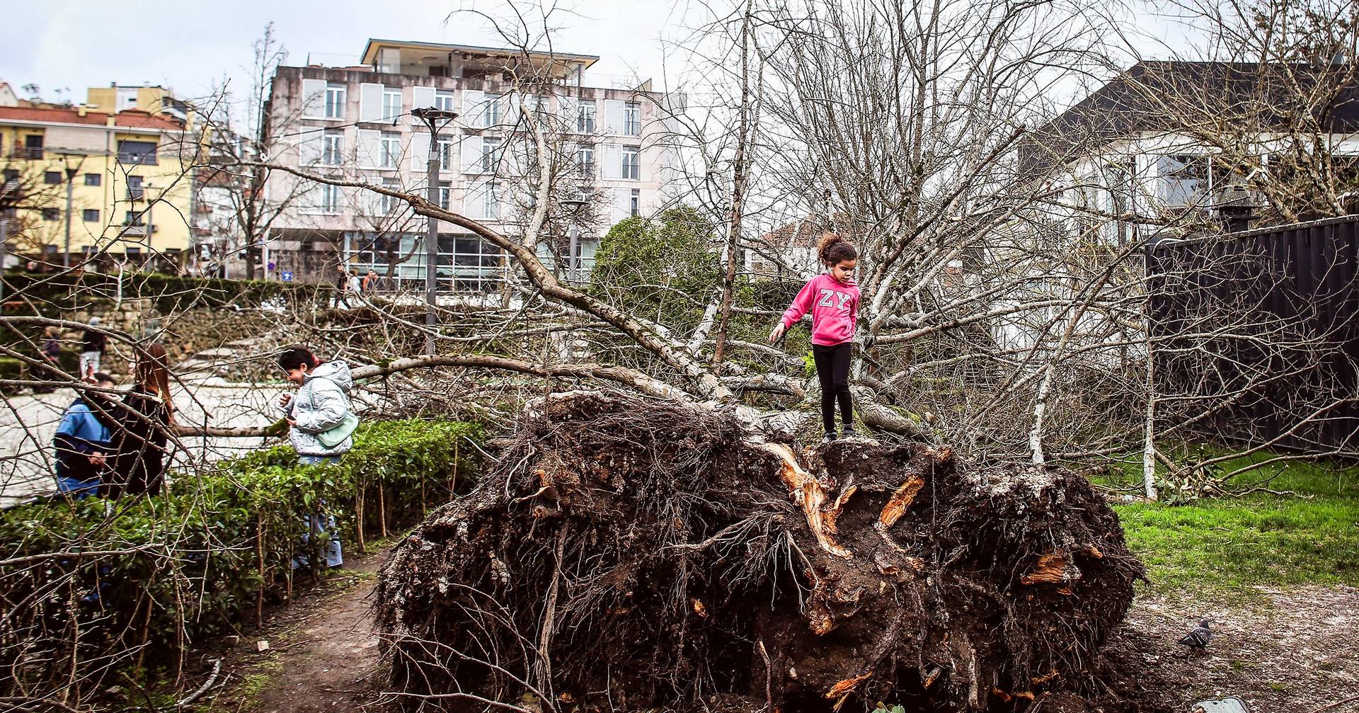 Diários da tempestade: 12 dias de medo, destruição e solidariedade contados na primeira pessoa