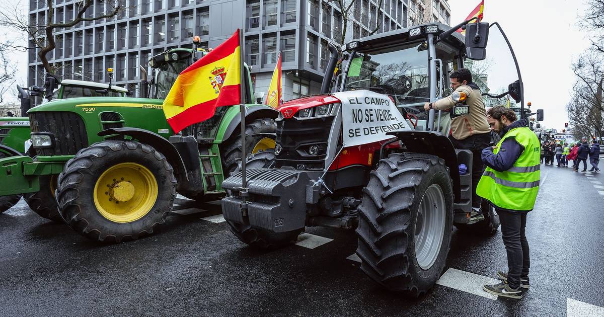 Milhares de agricultores protestam em Madrid contra acordo UE-Mercosul e nova PAC