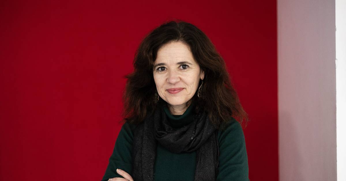 “Temos hospitais, escolas e creches em leito de cheia. No ordenamento permite-se tudo e isso põe as populações em risco”, avisa especialista