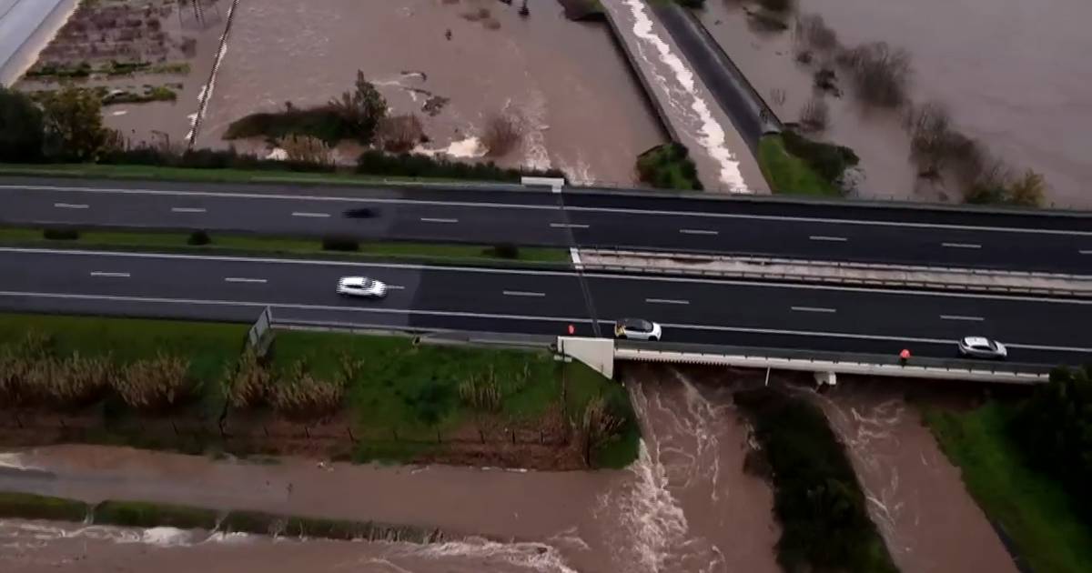 As imagens aéreas do dique que cedeu no Mondego e que fez cortar a A1