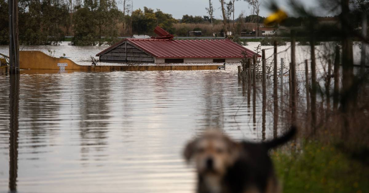Consumo e apoios públicos atenuam travagem