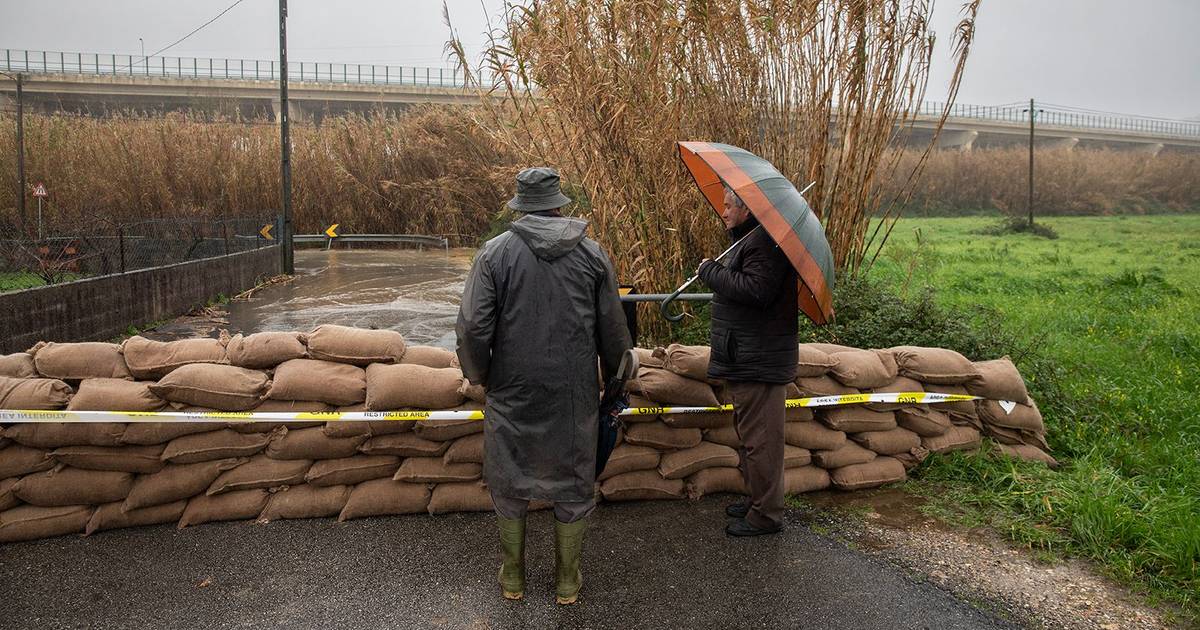 Reféns do Mondego: entre o resgate dos dinamarqueses e as trincheiras contra o rio