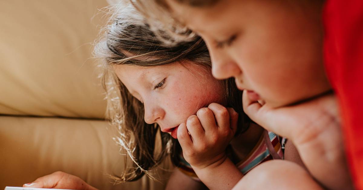 Avaliadores do Plano Nacional de Leitura sem receber