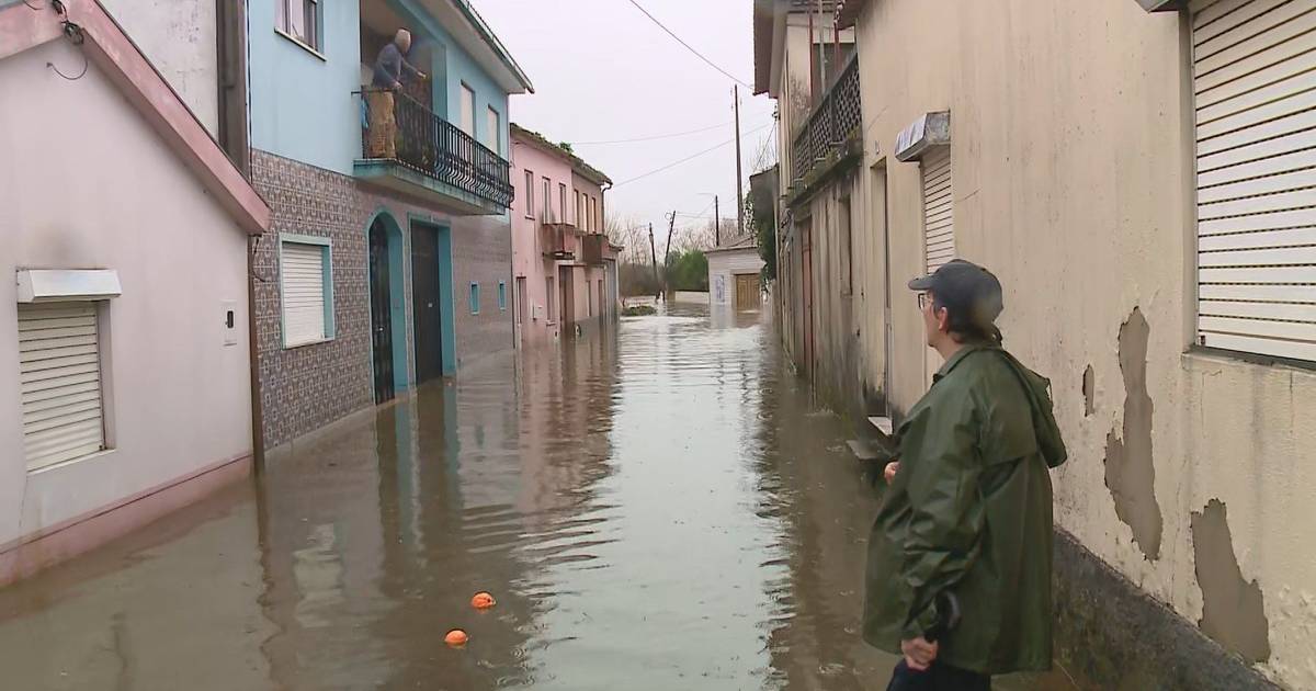 “Agora é recomeçar”: com o Rio Vouga a descer, moradores de Angeja iniciam trabalhos de limpeza