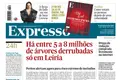 Há entre 5 a 8 milhões de árvores derrubadas só em Leiria