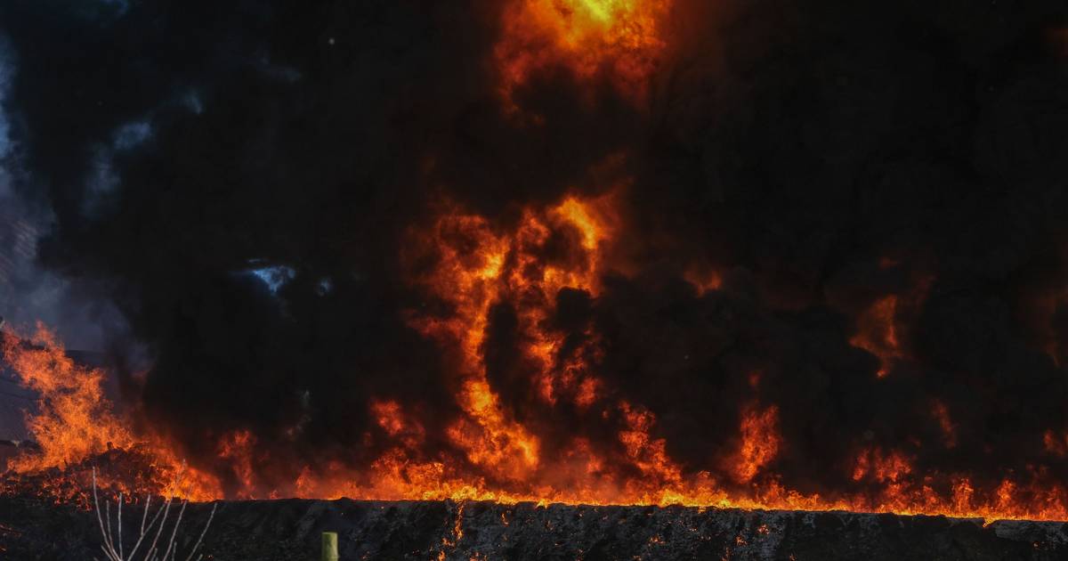 Mais de 100 bombeiros combatem incêndio em armazém de fruta em Óbidos
