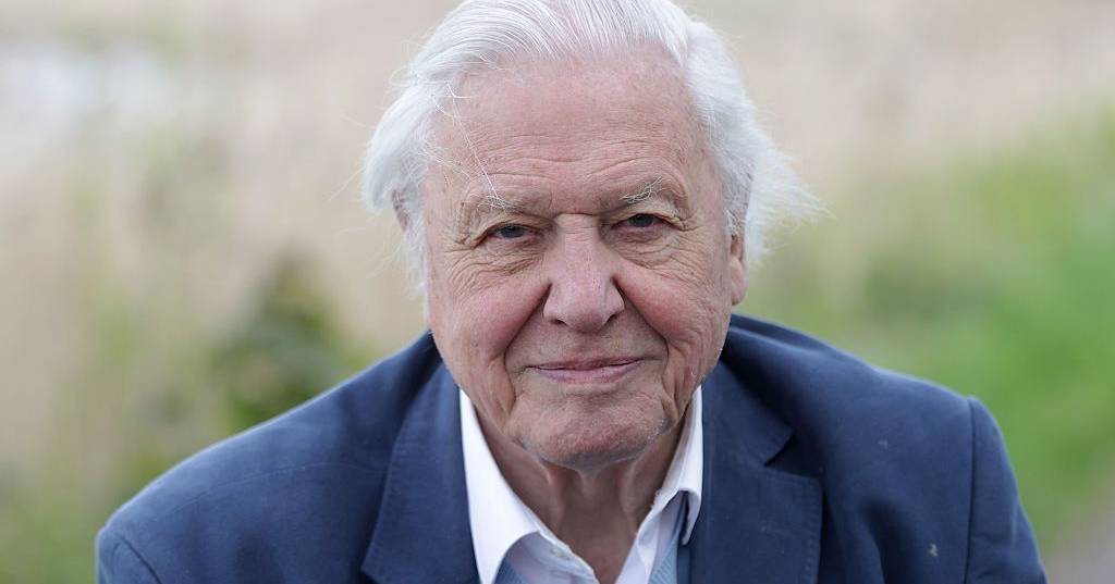 Parabéns, Sir David Attenborough! O historiador da natureza, de jeito afável e “voz quase divina”, faz 100 anos
