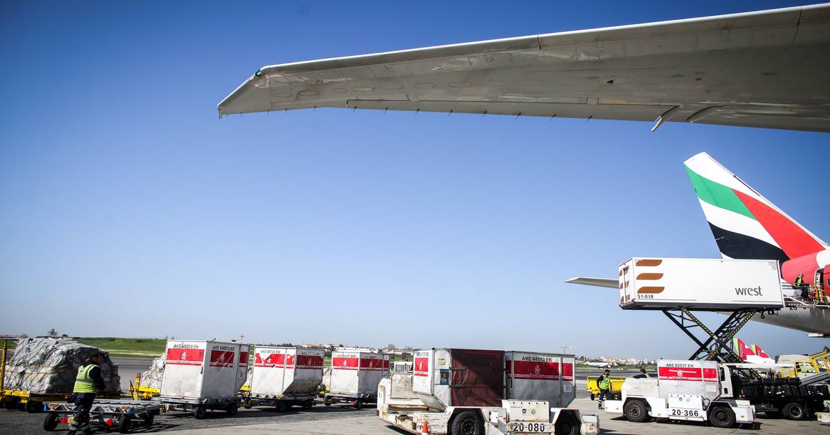 PSP suspende biometria nas partidas dos aeroportos de Lisboa, Porto e Faro: filas são enormes e as pessoas podem perder os voos