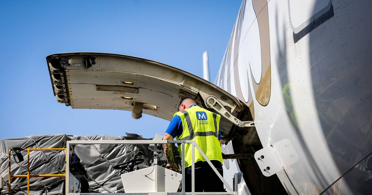 Providência cautelar da Menzies pode suspender concurso de 'handling' nos aeroportos e sindicato admite ir também para tribunal