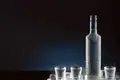 Vodka: Silenciosa e sem truques