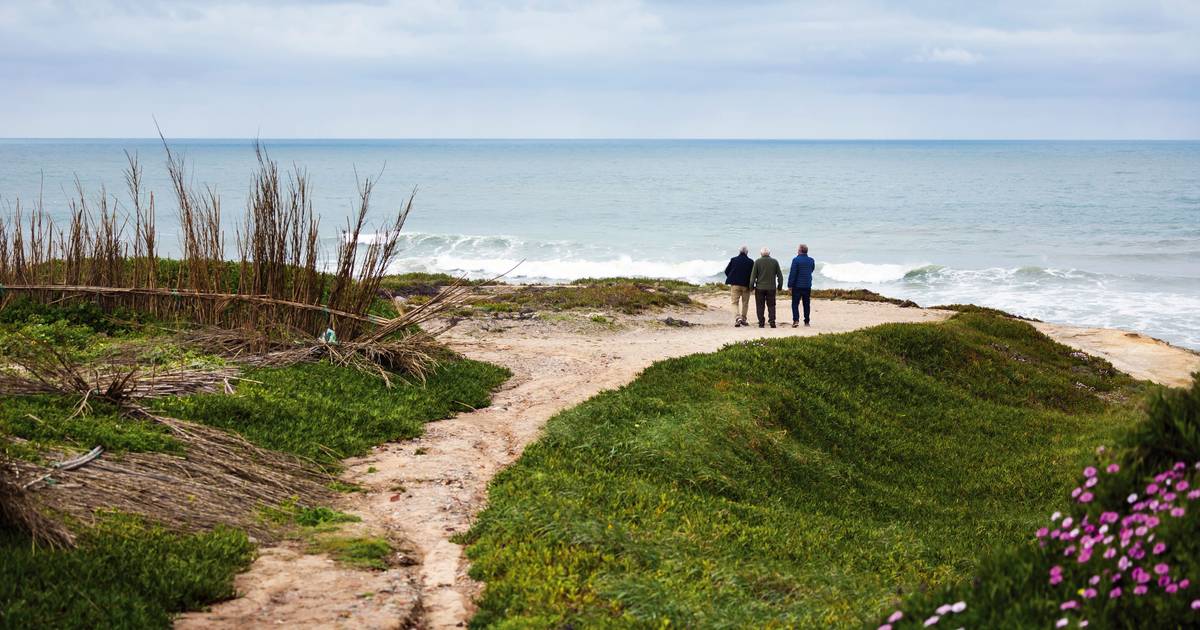 50 years ago, in a land called Ferrel, near Peniche, the people took up hoes and stopped the construction of a nuclear power plant