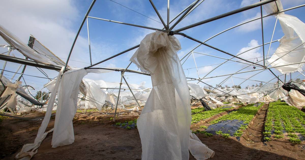 Leiria region has already detected irregular support requests. Damages in Leiria, Marinha Grande and Soure near €1.7 billion