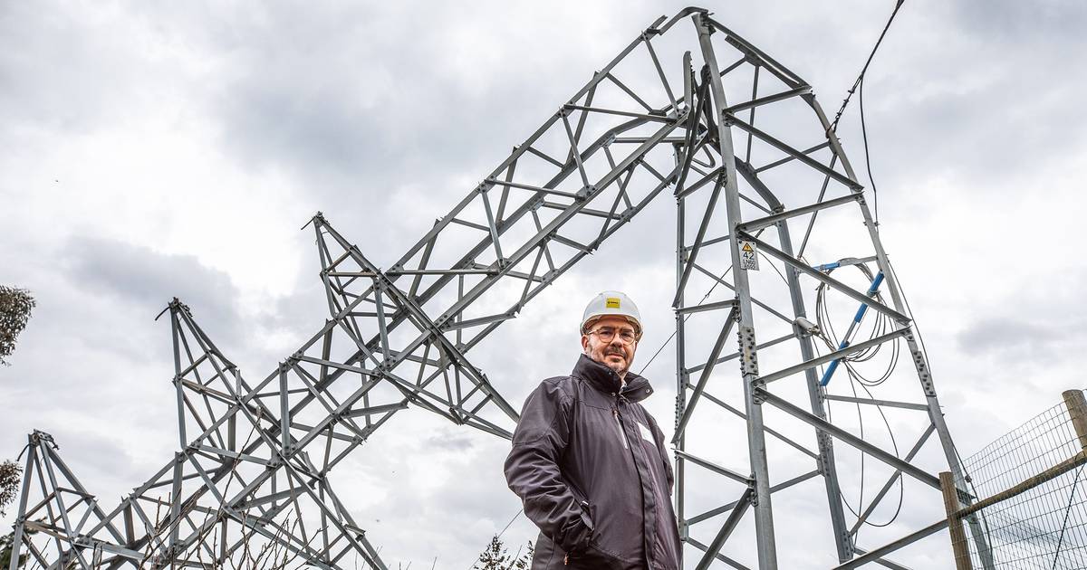 Como Nuno devolveu a luz a Leiria: “Mandei parar as fábricas de postes para trabalharem só para nós”