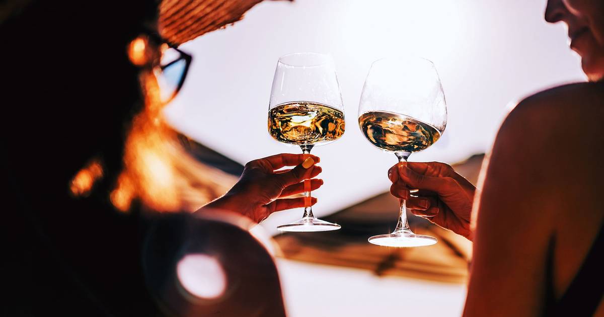 Vinhos: Com o sol a despontar, vamos falar de rosés?