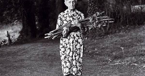 A minha aldeia é composta por algumas ruas de Lisboa, mas não só