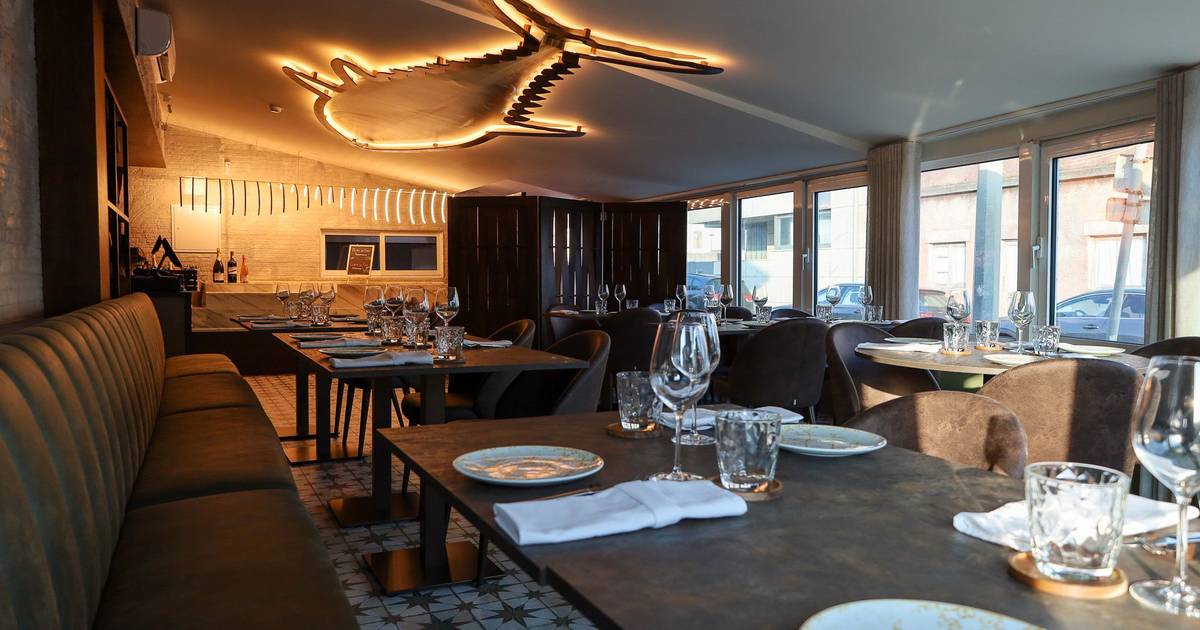 New restaurant in Matosinhos promotes wine dinners with a blind menu