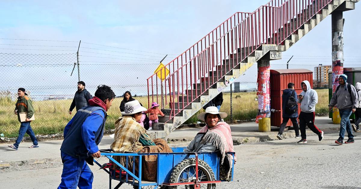 De carrinho de mão para poupar as pernas e a algibeira