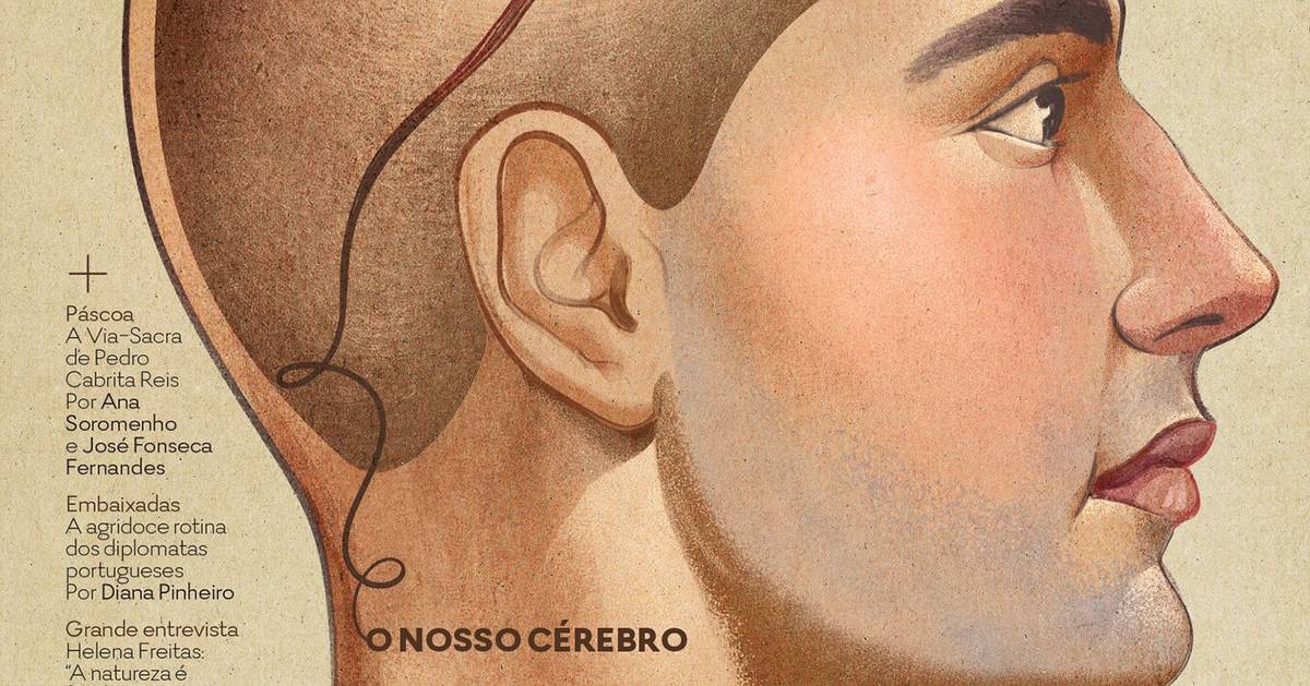 O nosso cérebro, na revista E