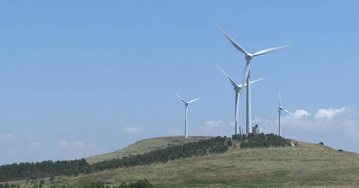 A sua eletricidade é mesmo 100% renovável? Veja como verificar