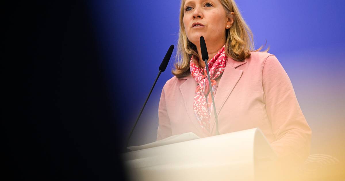 Parlamento Europeu quer mais escrutínio para redes sociais e IA: “A liberdade de expressão é para pessoas, não para máquinas”