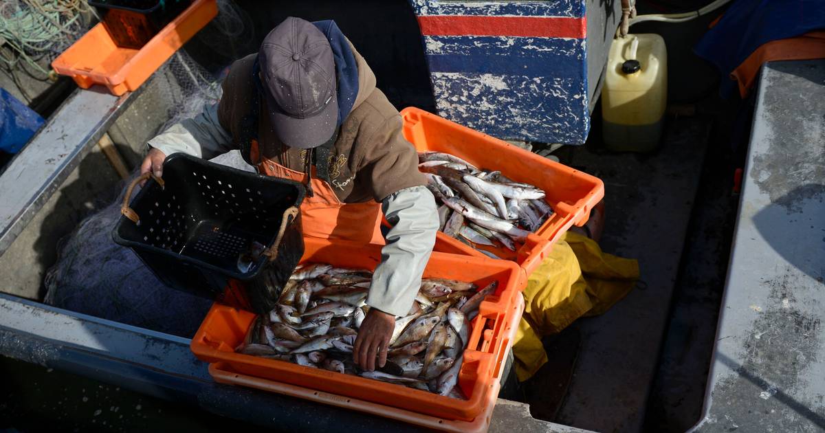 Fishermen demand urgent support in the face of a "totally unsustainable" 70% rise in diesel prices