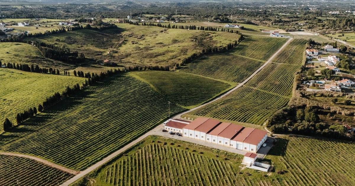 Família salva quinta centenária e cria experiências únicas entre vinhas e oliveiras no Ribatejo