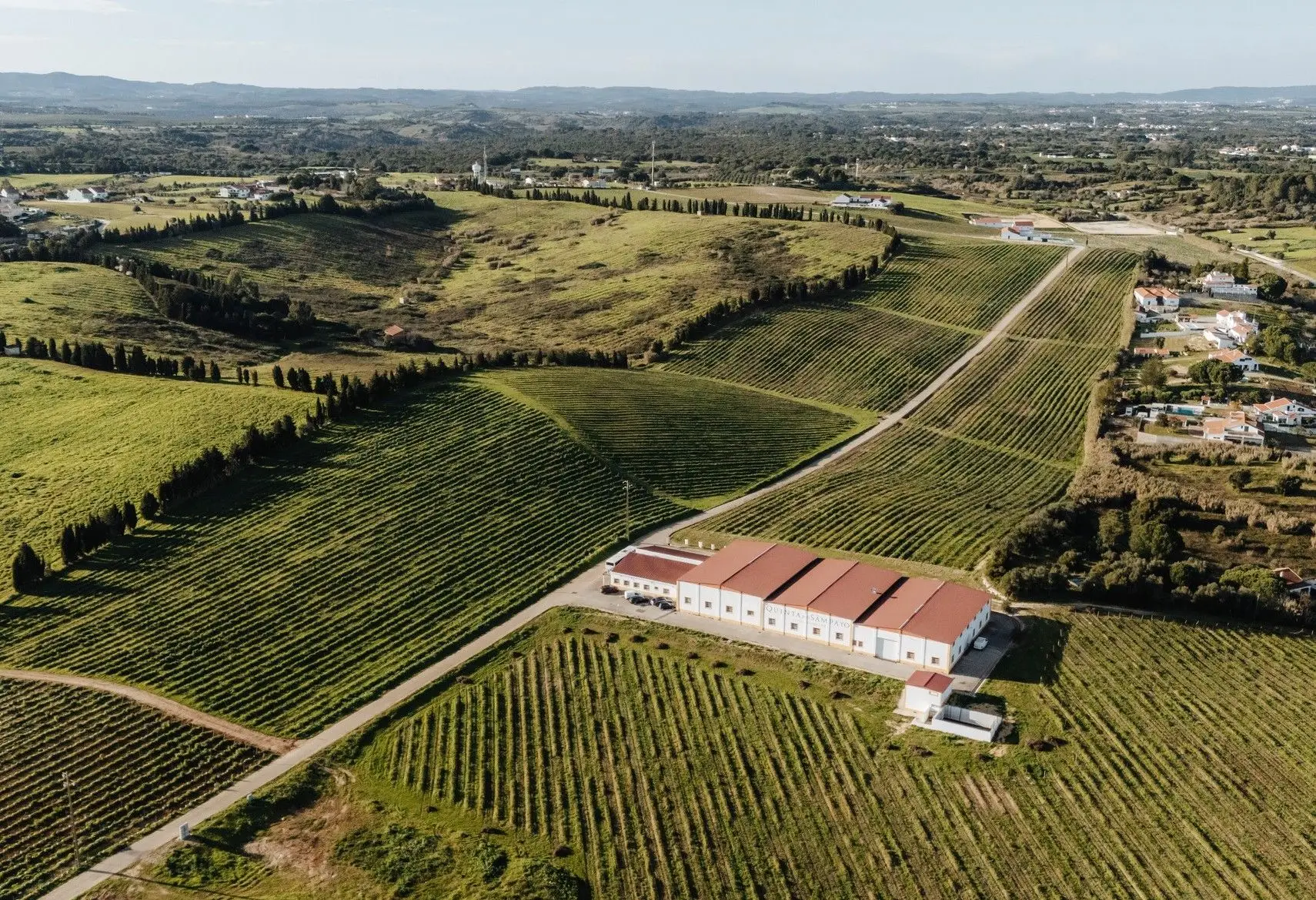 Família salva quinta centenária e cria experiências únicas entre vinhas e oliveiras no Ribatejo