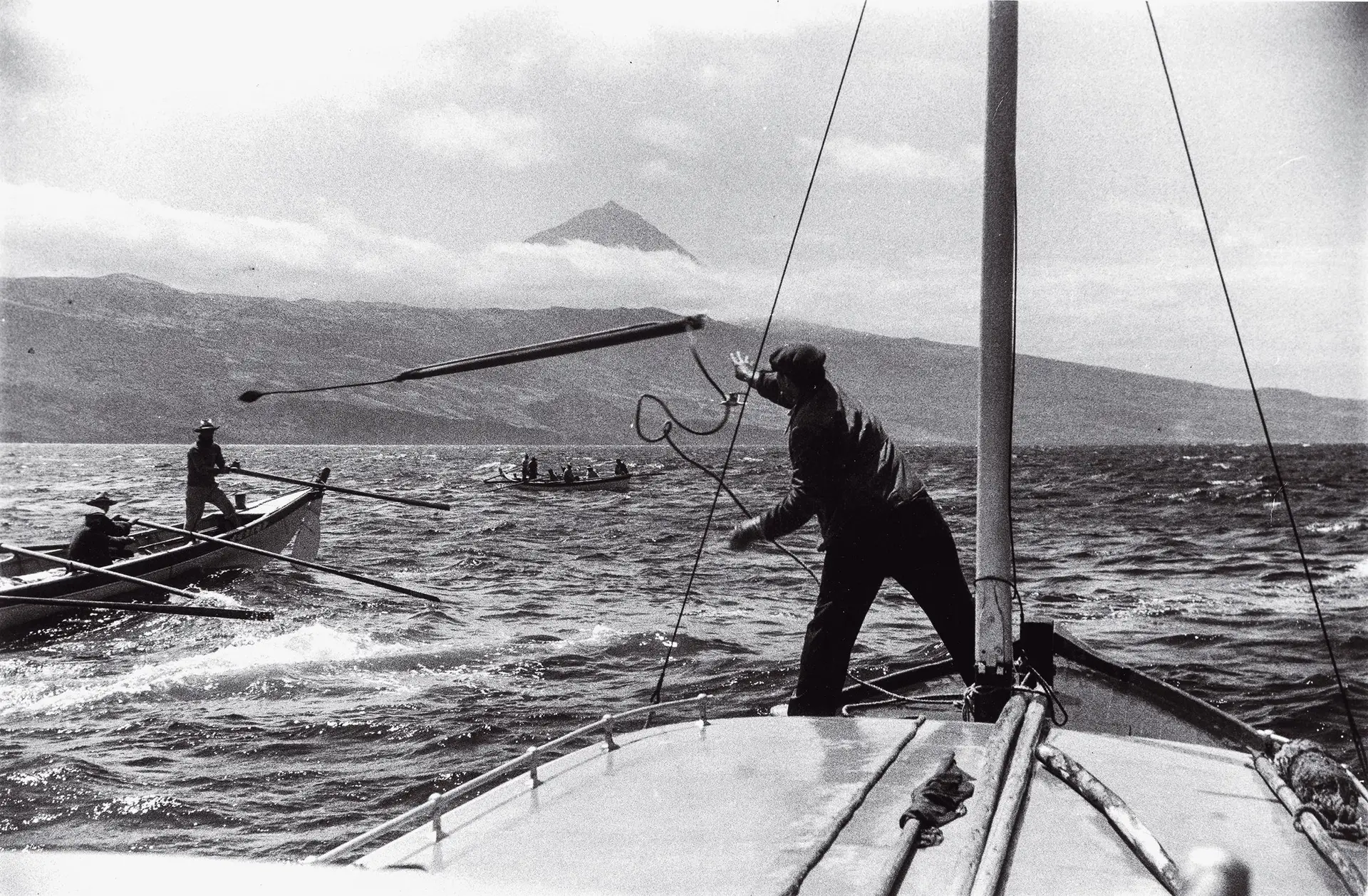 Os últimos baleeiros dos Açores: as histórias de quem caçou em alto mar "monstros" de 20 metros