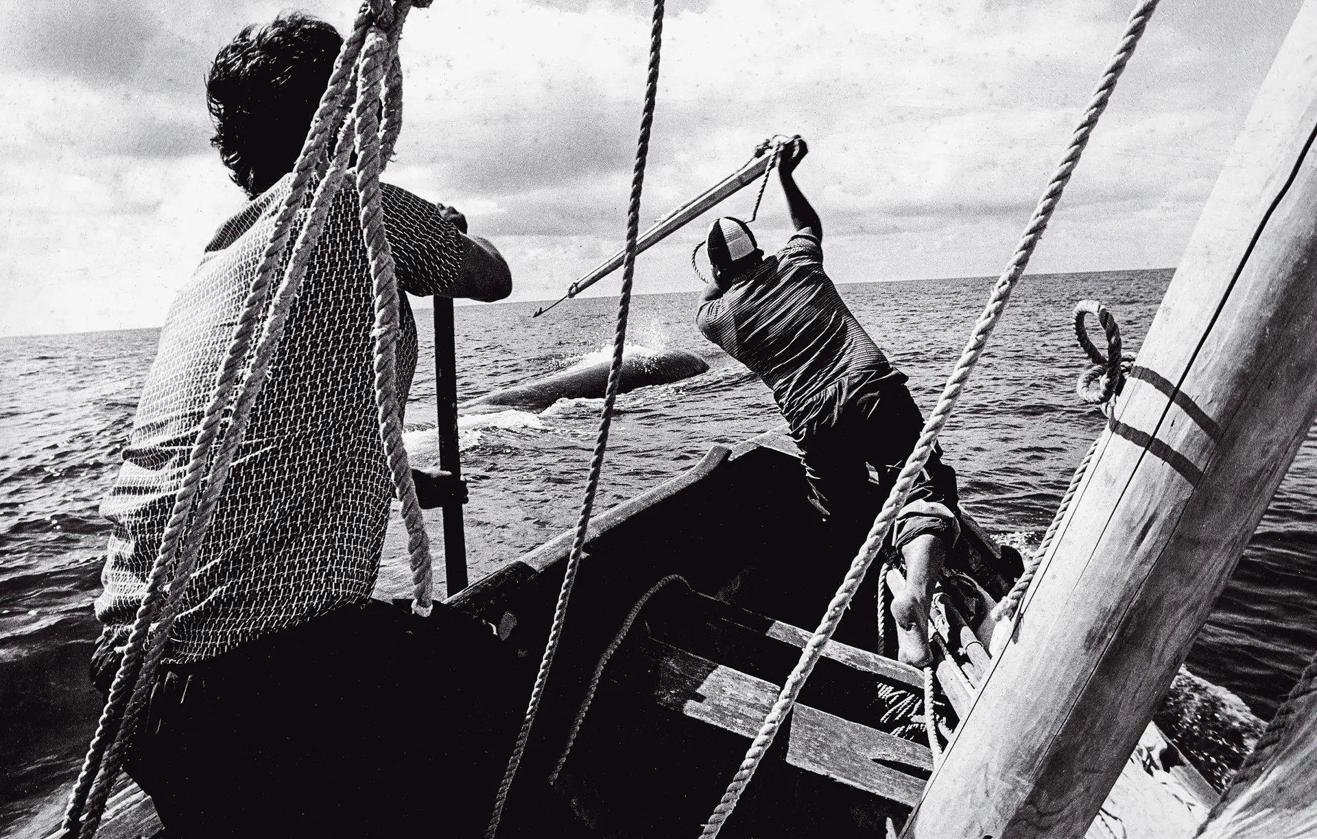 Cada bote baleeiro levava sete homens a bordo que durante várias horas andavam em alto mar na caça à baleia. O último cachalote foi capturado nos Açores em 1987 