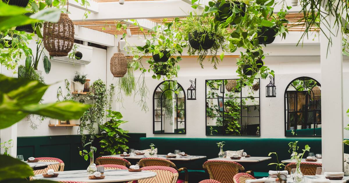 Sai Louise Bourrat, entra André Lança Cordeiro: Restaurante Boubou's em Lisboa abre novo capítulo