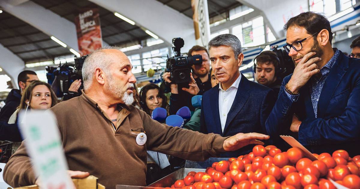 Nova direção do PS: Carneiro integra ‘oposição’ interna na Comissão Política