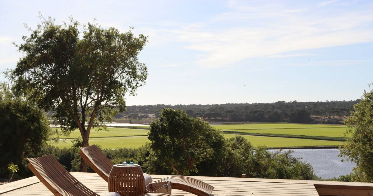 Só para adultos, Melides tem um novo refúgio orgânico que convida a desligar