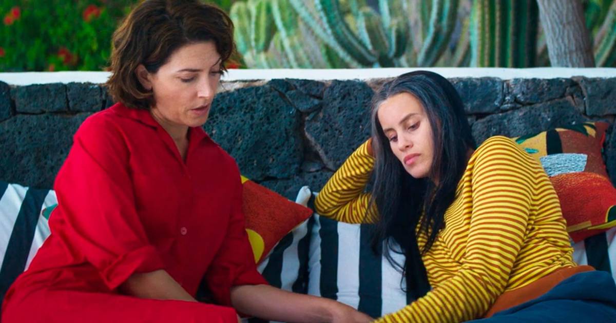 Novo filme de Pedro Almodóvar, "Natal Amargo", no Queer Lisboa em setembro