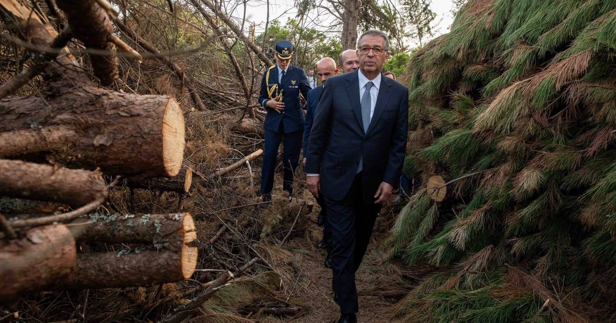 Seguro anuncia para "muito em breve" reuniões com parceiros sociais sobre pacote laboral