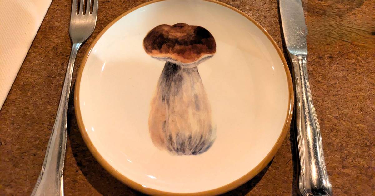 Cogumelos silvestres inspiram restaurante intimista em aldeia nos arredores de Chaves