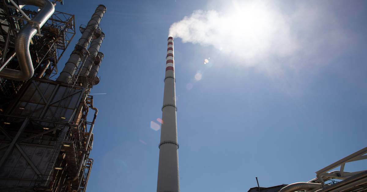 Pode a bioenergia substituir o petróleo e o gás natural?