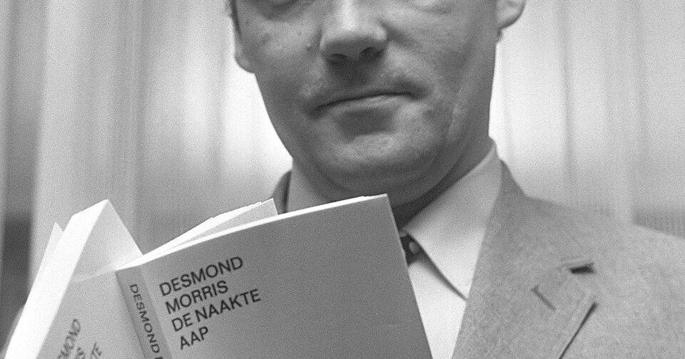 Desmond Morris (1948-2026): morreu o autor de "O Macaco Nu"