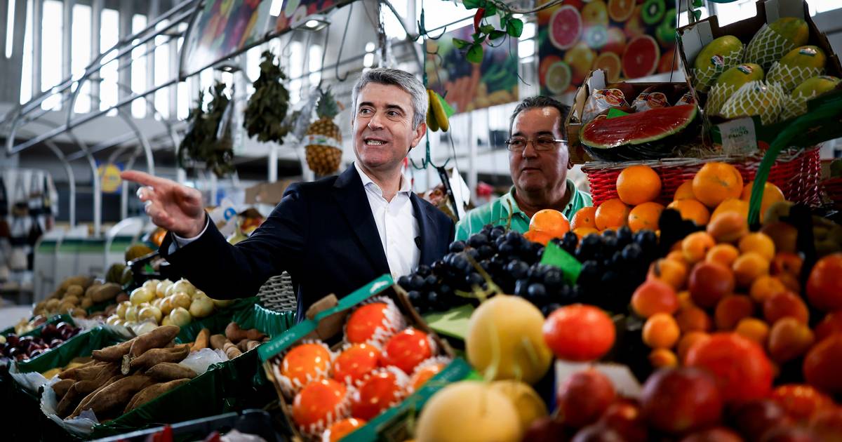 José Luís Carneiro assegura: no PS "não há oposição" interna