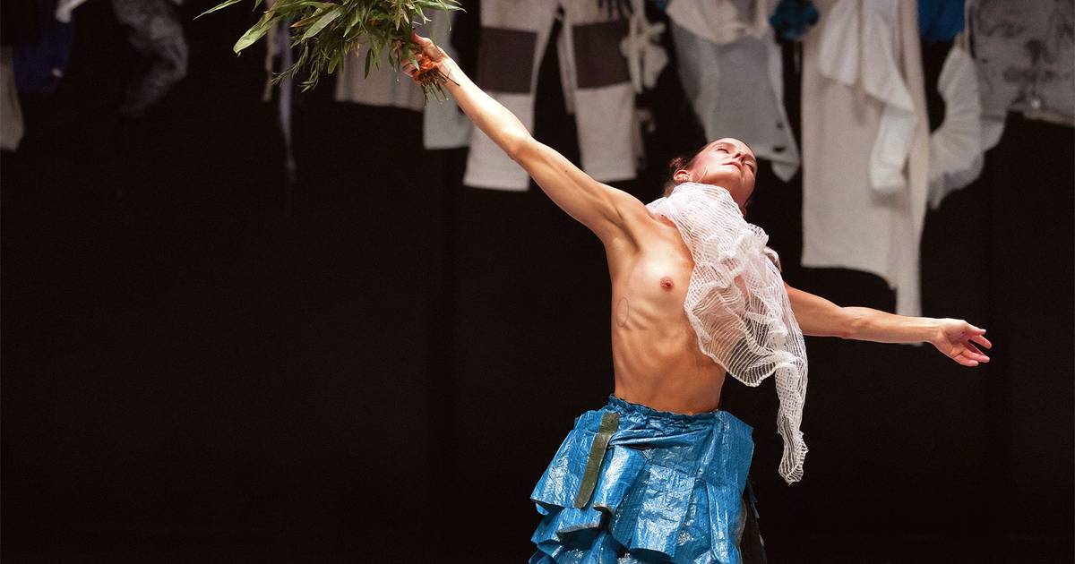 Dança: À sexta edição, o festival Transborda traz-nos folia e reconciliação