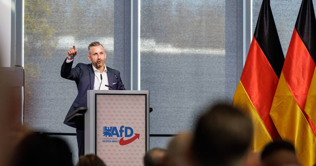 O plano da AfD para a Saxónia-Anhalt: deportações, famílias “alemãs”, turmas para crianças refugiadas e aulas de russo