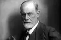 Um Freud leitor