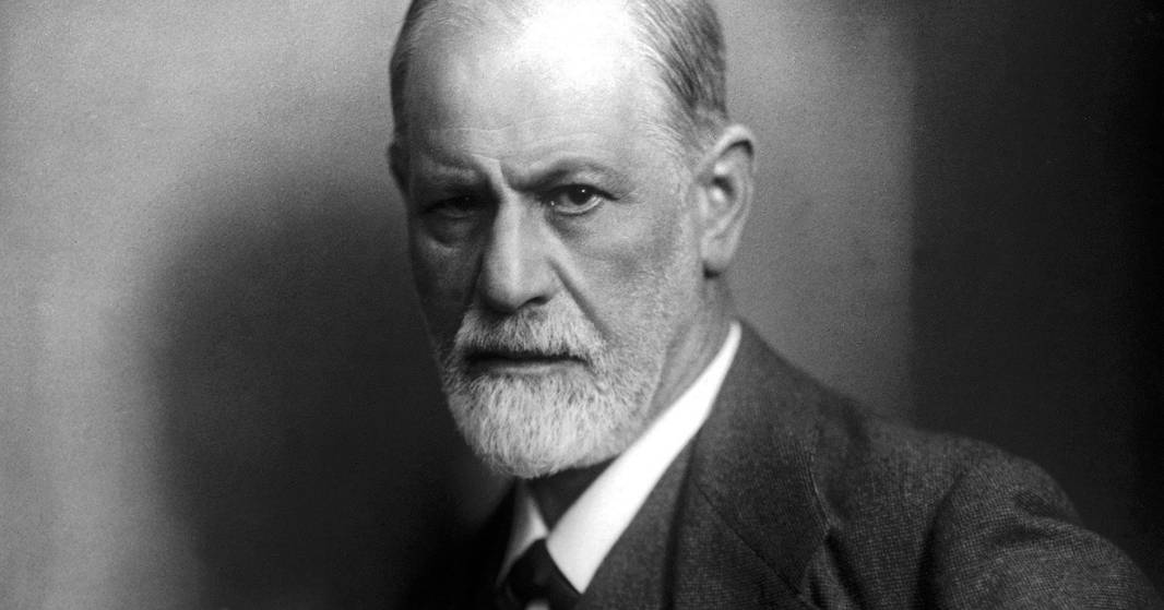 Livros: O delírio de um Freud leitor
