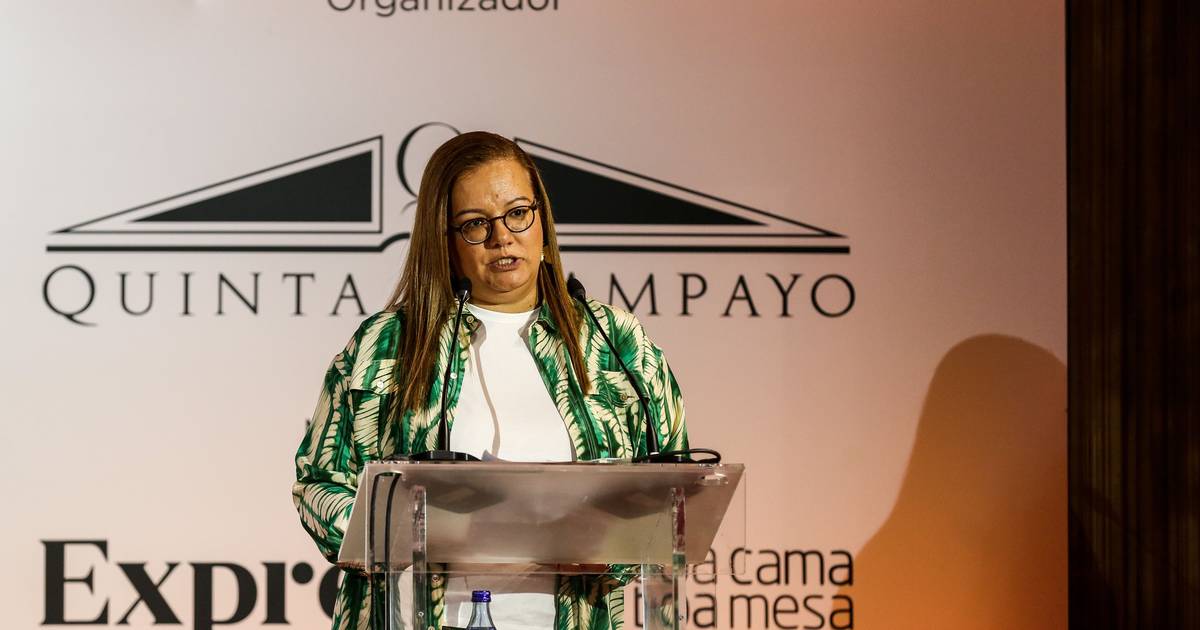 Regenerar para lucrar: a agricultura como estratégia de sobrevivência económica