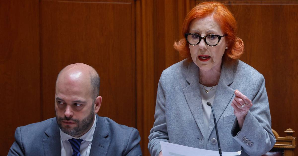 Governo espera apoio europeu para eletrificação e descarbonização dos transportes públicos